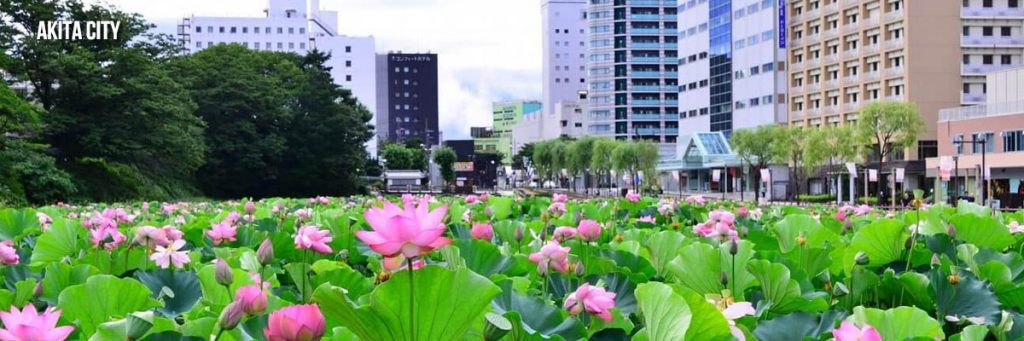 Thành phố Akita